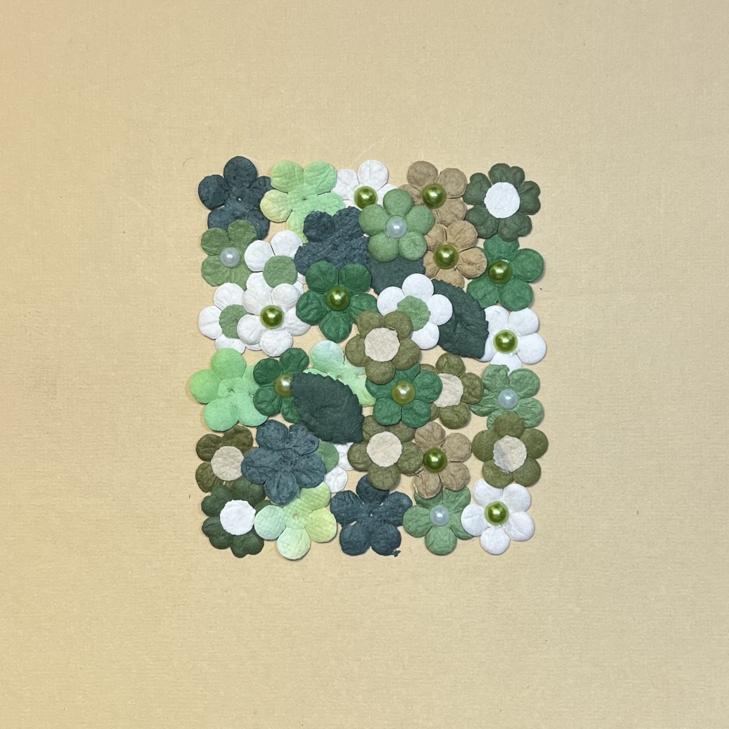 Daisy with Pearl & Dot - Image 4