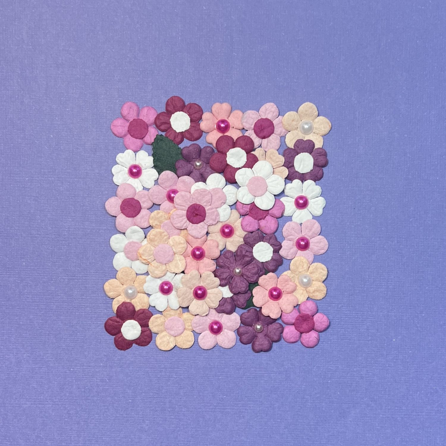 Daisy with Pearl & Dot - Image 5
