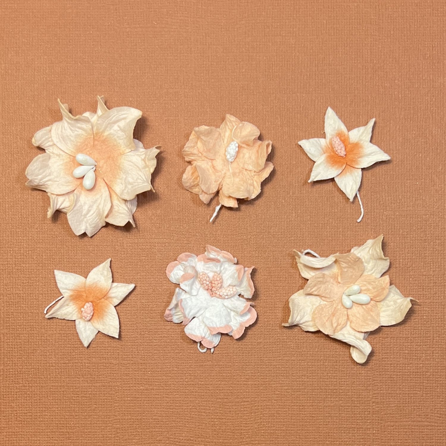 Vintage Flower Pack of 6 - Image 13